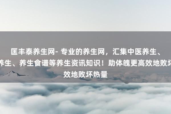 匡丰泰养生网- 专业的养生网，汇集中医养生、食补养生、养生食谱等养生资讯知识！助体魄更高效地败坏热量