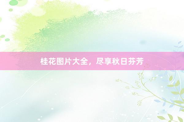 桂花图片大全，尽享秋日芬芳