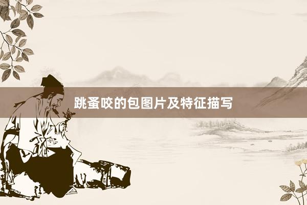 跳蚤咬的包图片及特征描写
